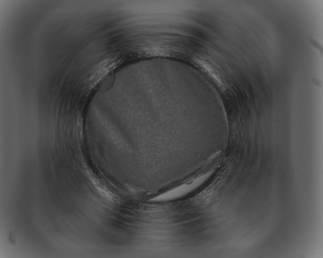 X0000091700398200709071353