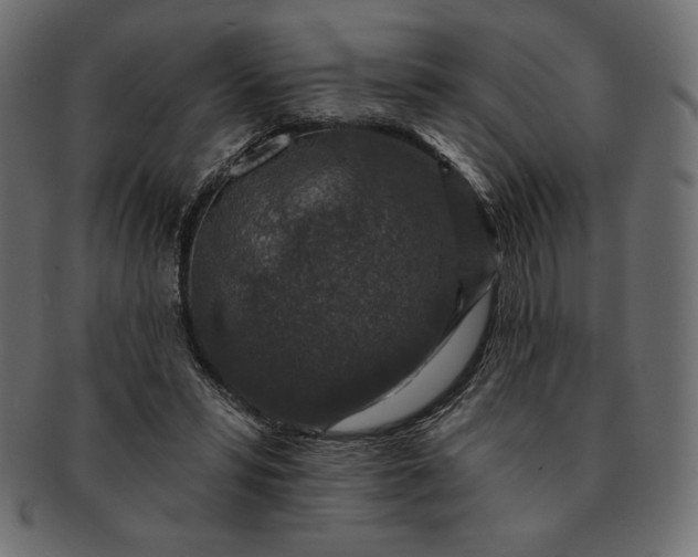 X0000091700399200709071353