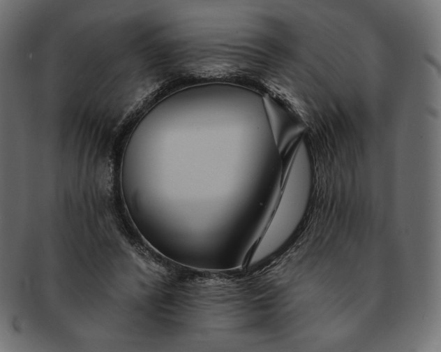 X0000091700400200709071353