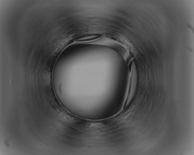 X0000091700401200709071353