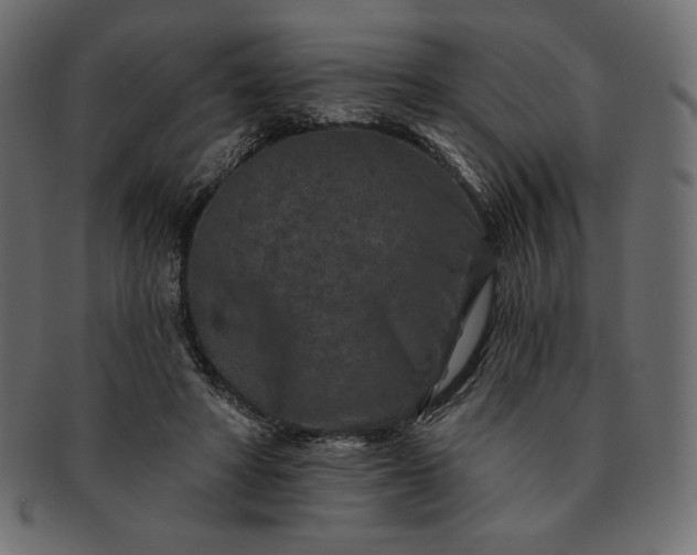 X0000091700402200709071353