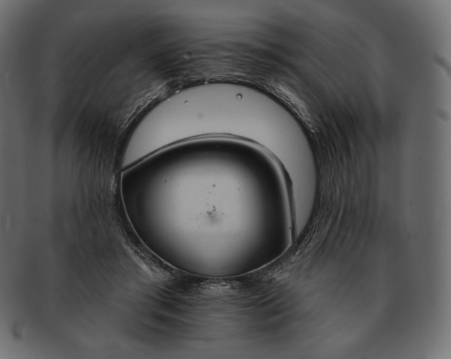 X0000091700405200709071353