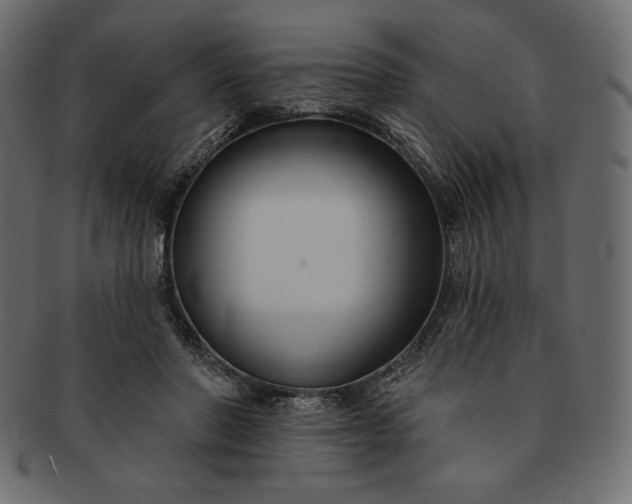 X0000091700406200709071353