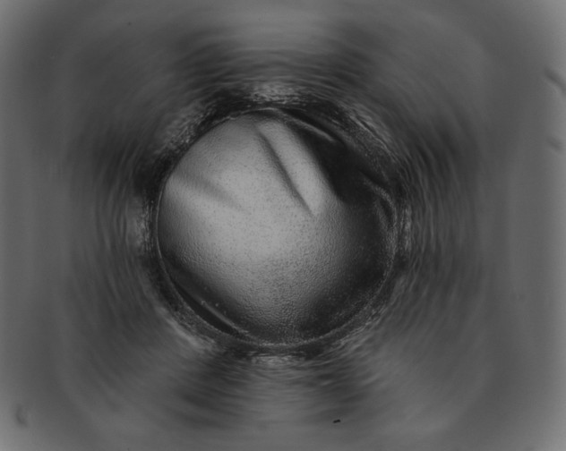 X0000091700408200709071353