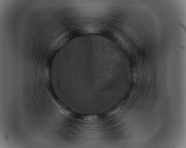 X0000091700410200709071353