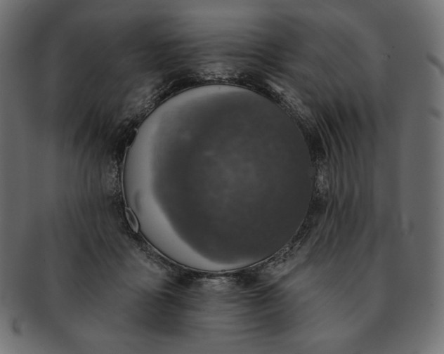 X0000091700411200709071353