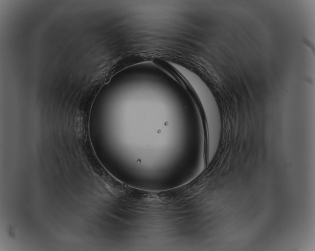 X0000091700416200709071353