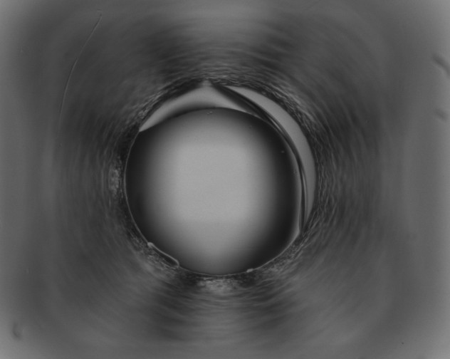 X0000091700417200709071353