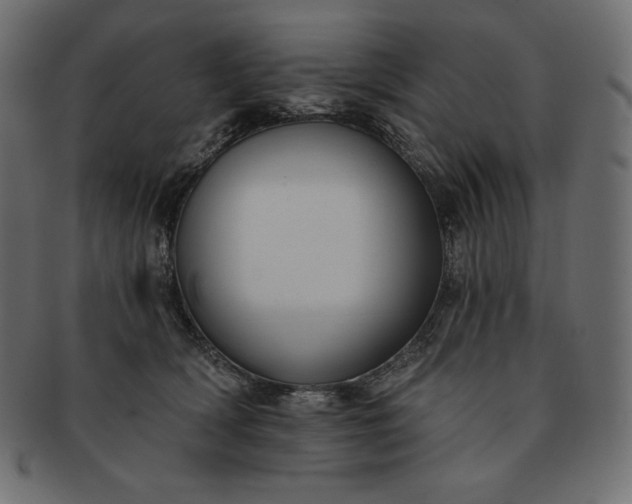 X0000091700418200709071353