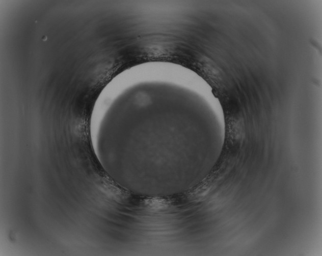 X0000091700419200709071353