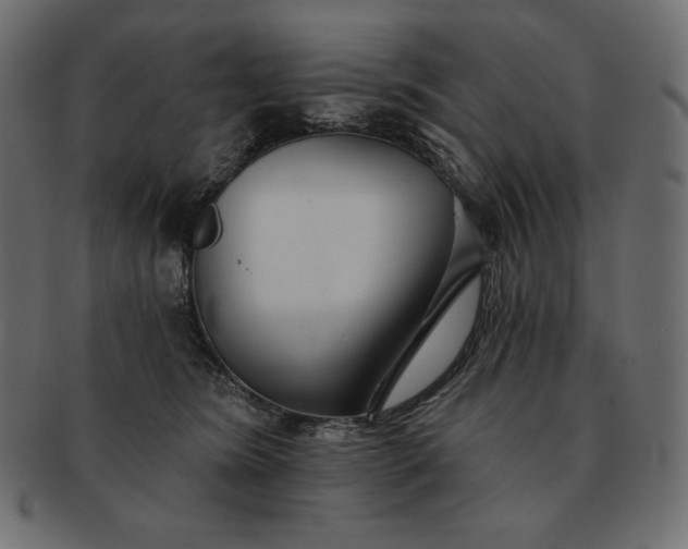 X0000091700420200709071353