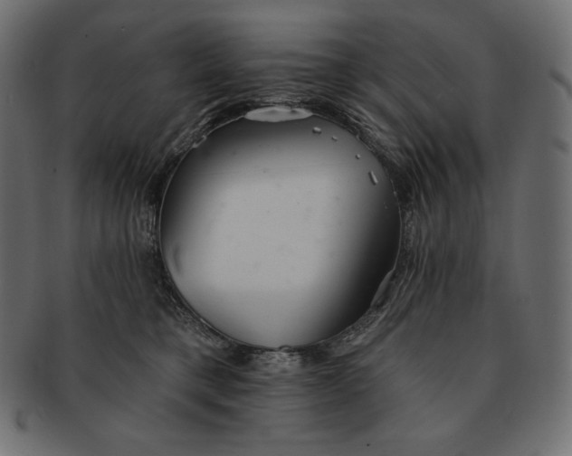 X0000091700421200709071353