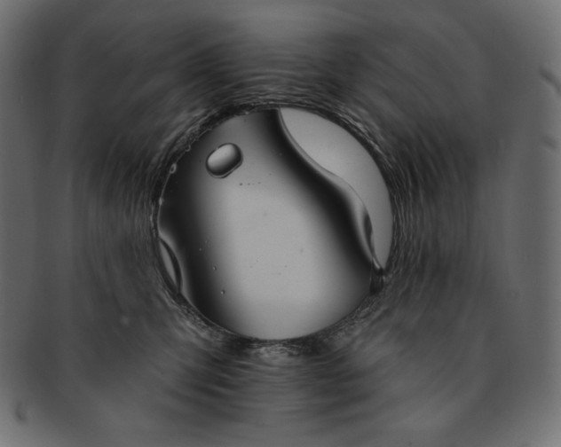 X0000091700423200709071353