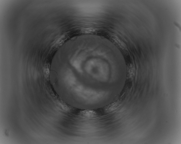 X0000091700427200709071353