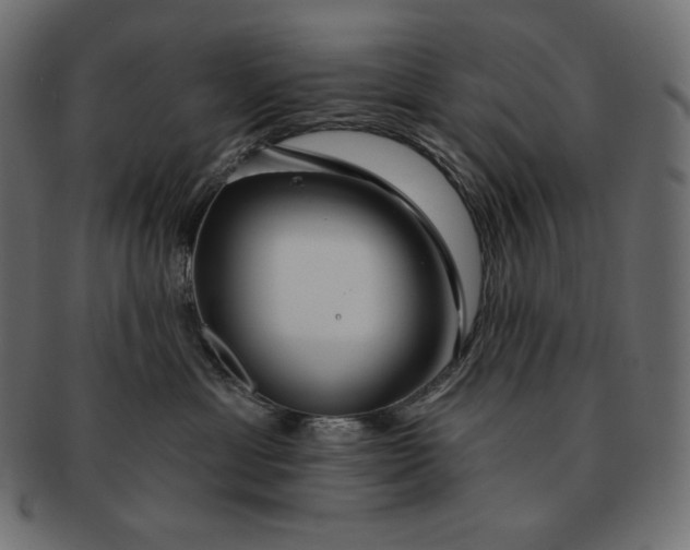 X0000091700429200709071353