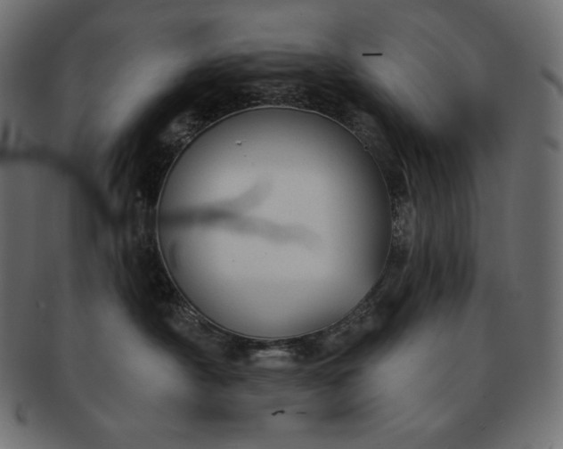 X0000091700430200709071353