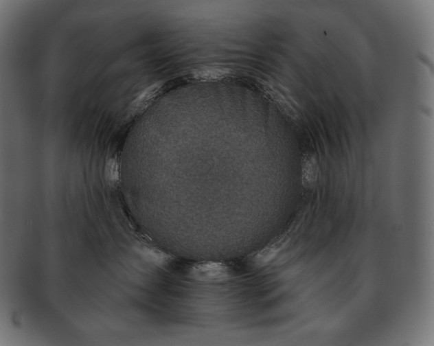 X0000091700431200709071353