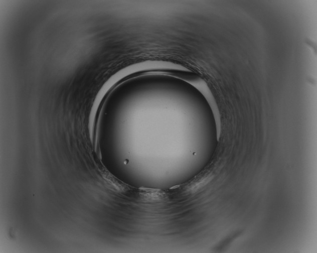 X0000091700432200709071353