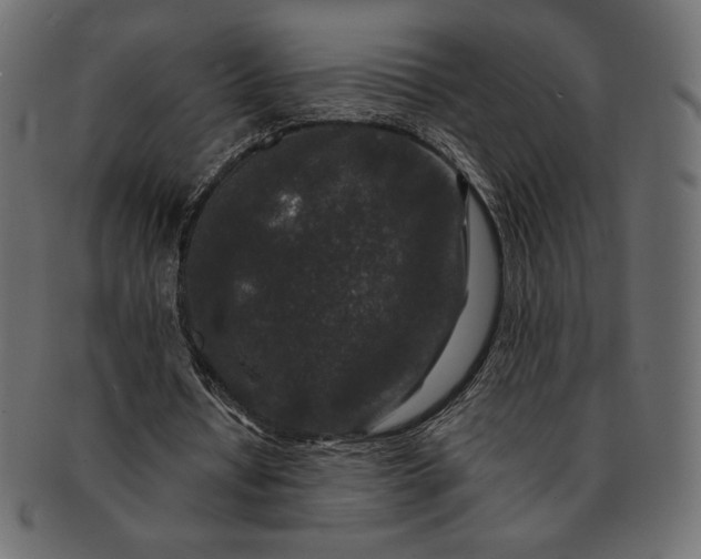 X0000091700434200709071352