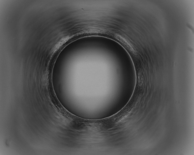 X0000091700436200709071352