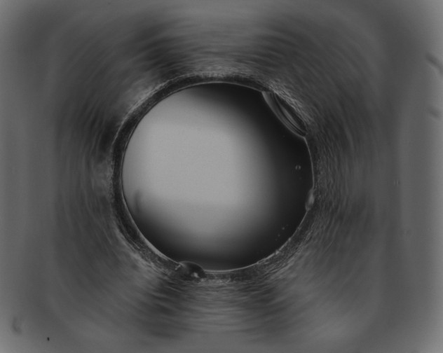 X0000091700440200709071352