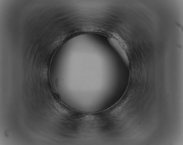 X0000091700441200709071352