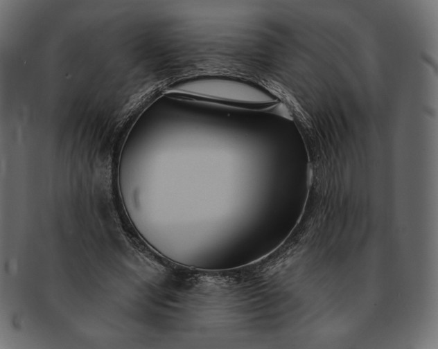 X0000091700442200709071352