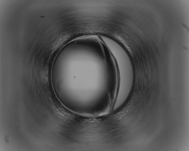 X0000091700443200709071352