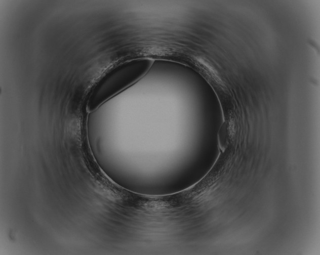 X0000091700444200709071352