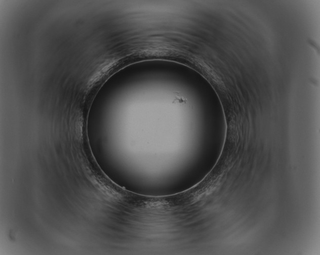 X0000091700446200709071352