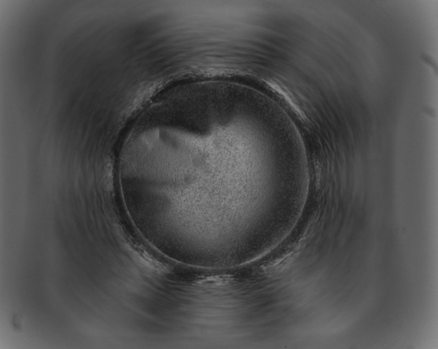 X0000091700447200709071352