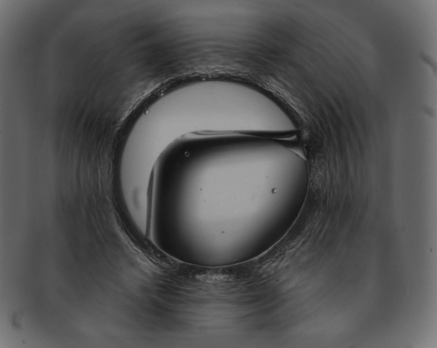 X0000091700448200709071352