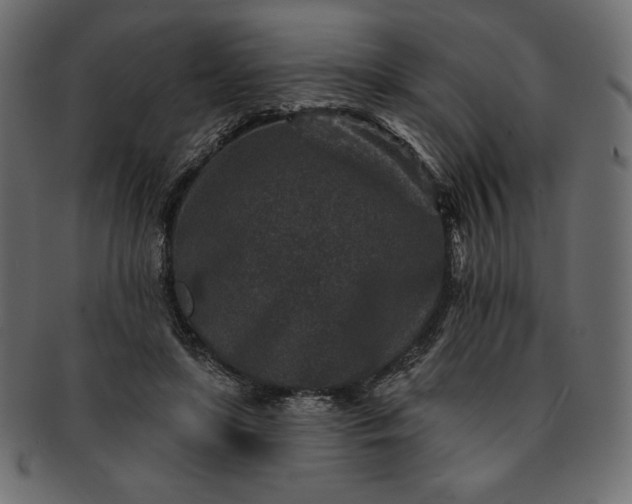 X0000091700451200709071352