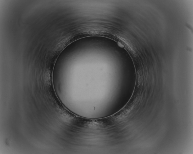 X0000091700453200709071352