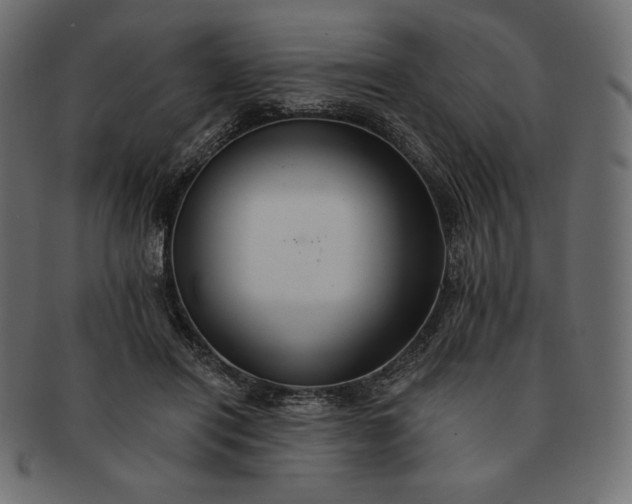 X0000091700454200709071352