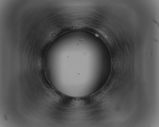 X0000091700455200709071353