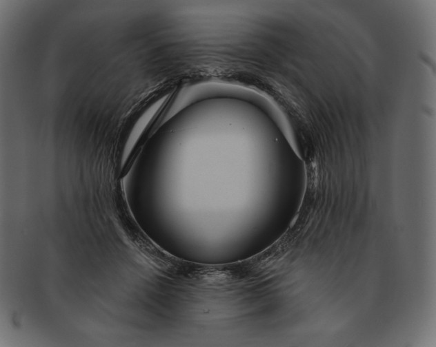 X0000091700456200709071353