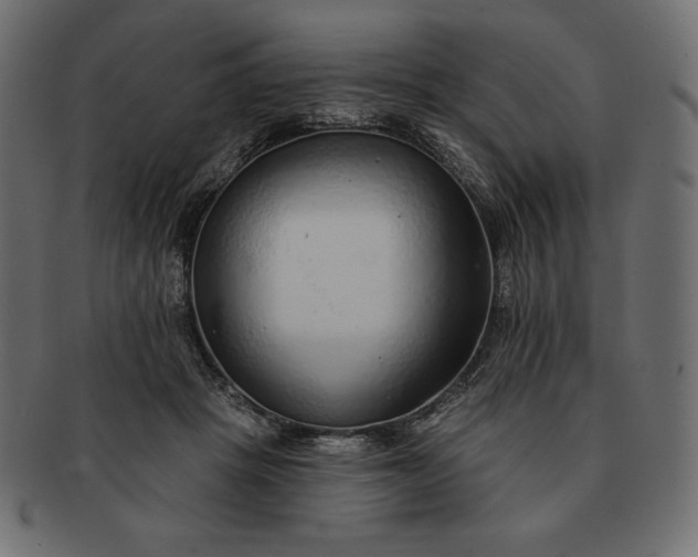 X0000091700457200709071353