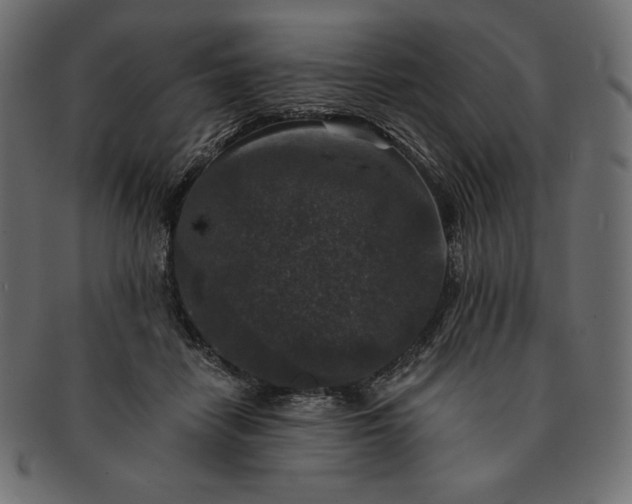 X0000091700458200709071353