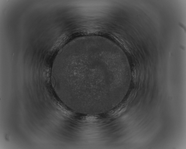 X0000091700462200709071353