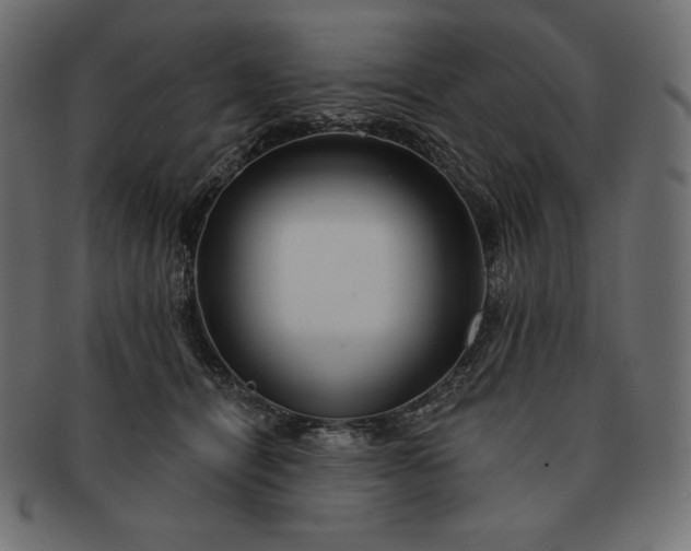 X0000091700464200709071353