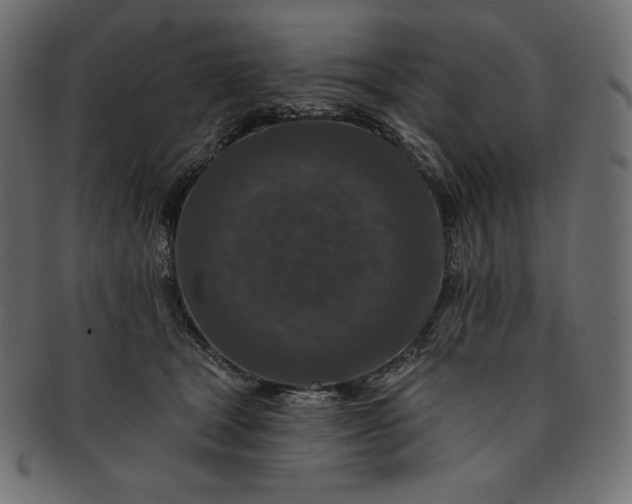 X0000091700465200709071353