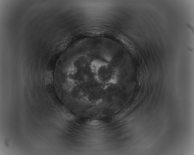 X0000091700467200709071353