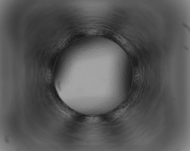 X0000091700469200709071353