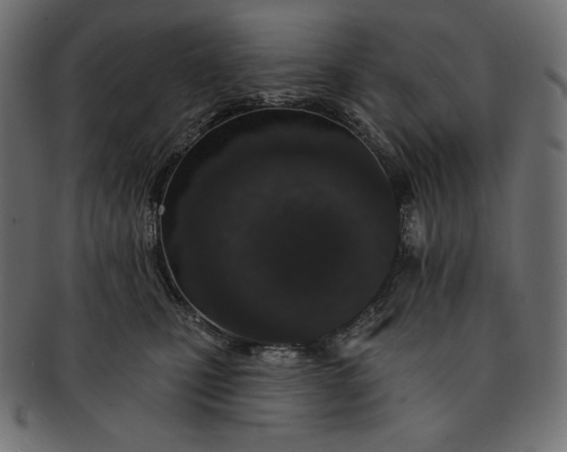 X0000091700471200709071353