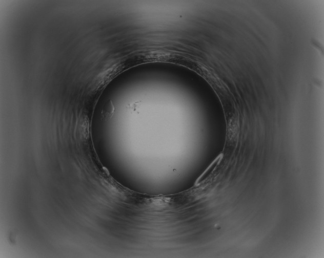 X0000091700474200709071353