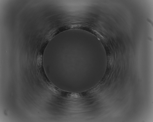 X0000091700475200709071353