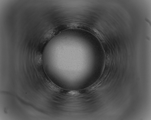 X0000091700477200709071353