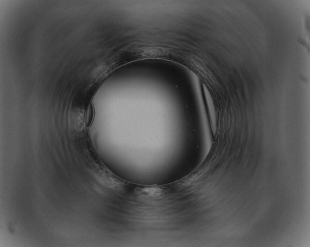 X0000091700478200709071353