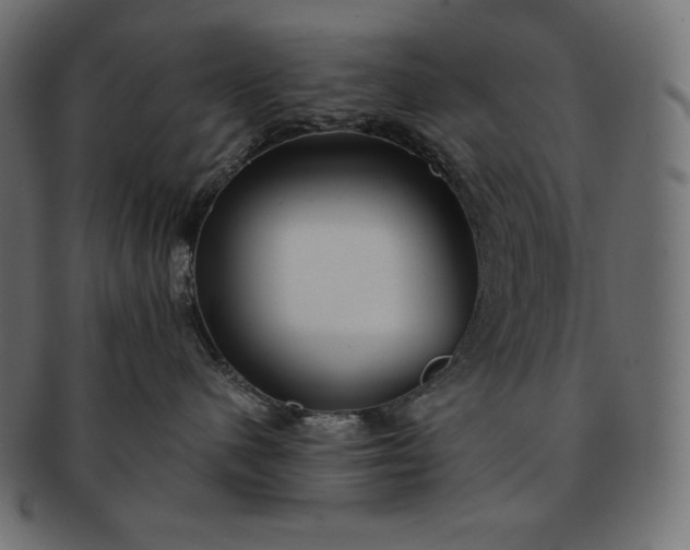 X0000091700480200709071353